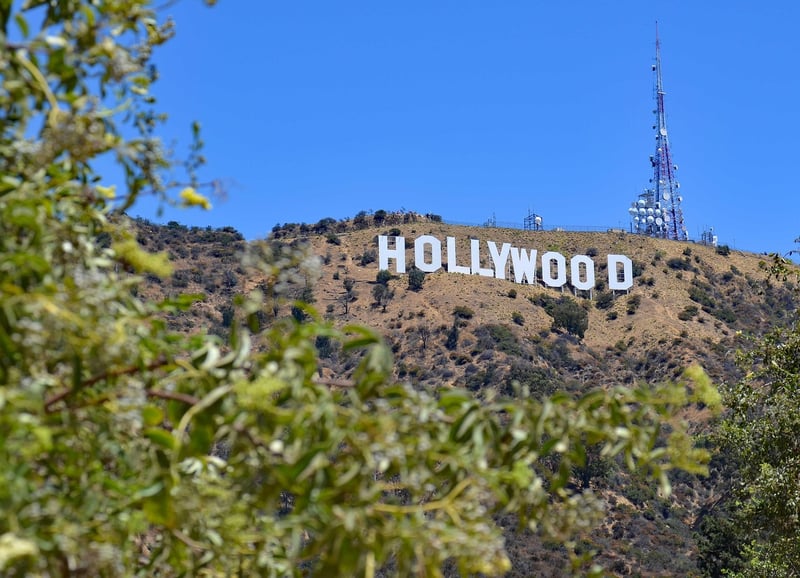 Rise and fall of celebrities